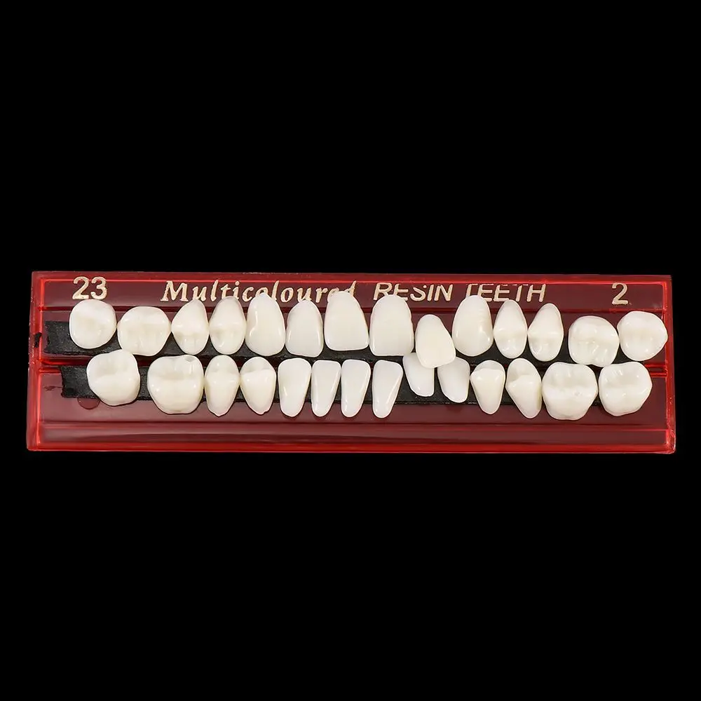 

Professional Oral Cavity Teaching Fake Teeth Multifunctional Resin Tooth Model Simulation Dentures Usable Practice Tool