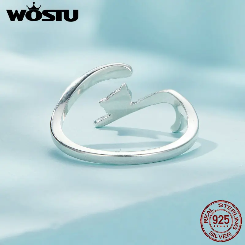 WOSTU ָ ǻ  Ϳ  հ ,   ,  ģ Ƽ   CQR341