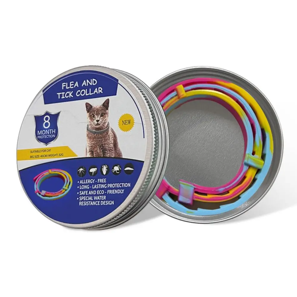 Cat Colorful