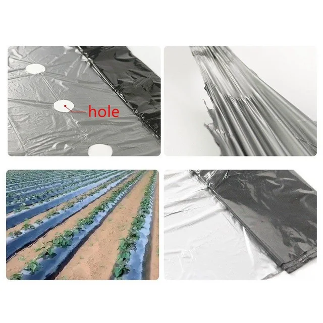 10 M Fekete 7 Lyukú Talajtakaró Pe Plastic Mulch 25 Mm Mezőgazdasági Növények Cover Film Frost Protection Tartson Meleg Gyomvezérlés - Image 3