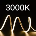 3000K