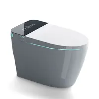 Smart Toilet with Heated Bidet Seat, Portable toilet with bidet built in AUTO Open&Close, AUTO Dual Flush,Bidet toilet with Drye 1