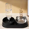 Elevated Double Cat & Dog Bowls Automatic Drinking Station with Slanted Design Durable Stainless Steel Pet Water Bowls 2