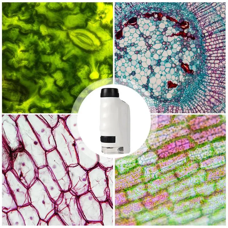 Рисунок 4 - Карманный микроскоп