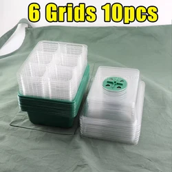 Seed Starter Kit with Adjustable Humidity Dome and Base - Indoor Greenhouse Mini Propagator Trays (6grids - 10pcs)