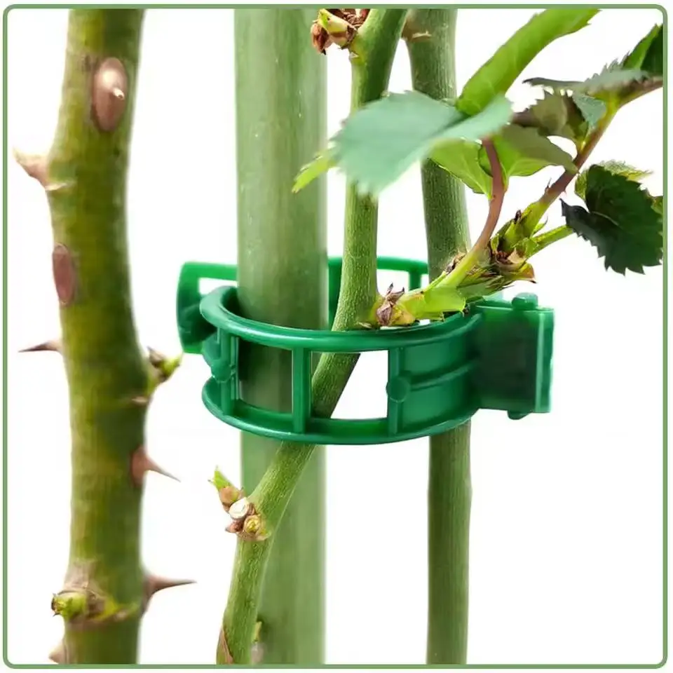 100Pcs Plant Support Clips Fixture Plastic Garden Plants Stalks Holder Vine Strapping Clip for Climbing Plants Tomato Grape