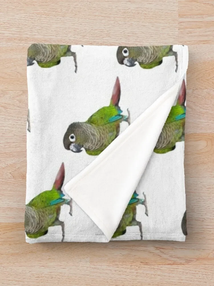 ��� �� Conure ������ ���, �ܿ� ħ��, �ö��� ����, ���Ÿ� ������ ���