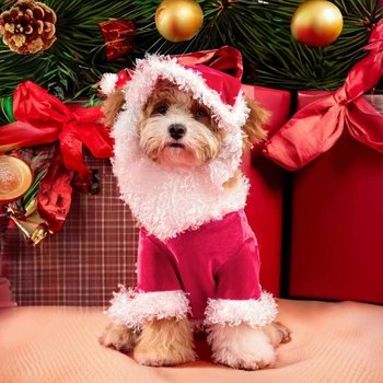 Christmas Day Dog Clothing Santa Claus Dress Funny Style Dog Clothing Pet Dress 2
