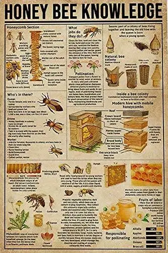 

A Honey Bee Knowledge Vintage Metal Sign for Cafe Bar Bathroom Bar Room Wall Decoration Tin Sign 12x16 Inches