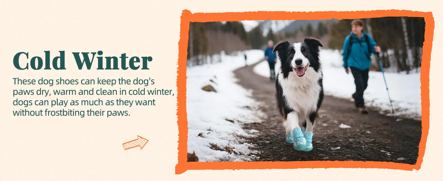 dog winter boots