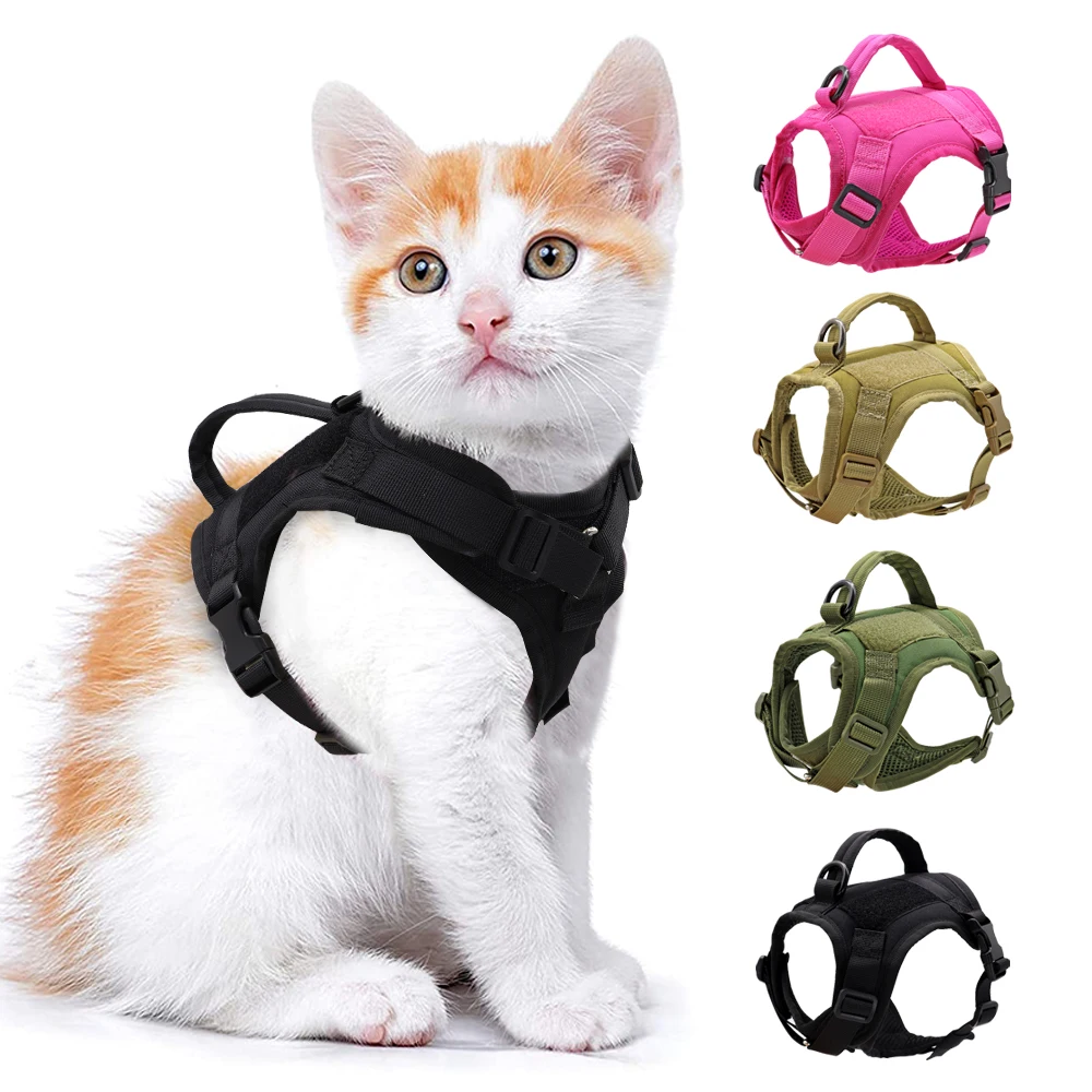 Pet Supplies : Tactical Cat Harness, Air Mesh Cat Walking Vest