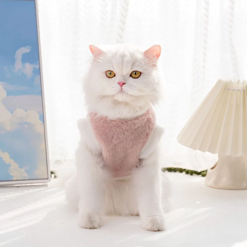 토끼 플러시 고양이 인형 노령묘용 풀오버 보온성 기능 세탁기 사용 가능 무제한 디자인 매우 부드럽고 안전한 피부 친화적인 의류