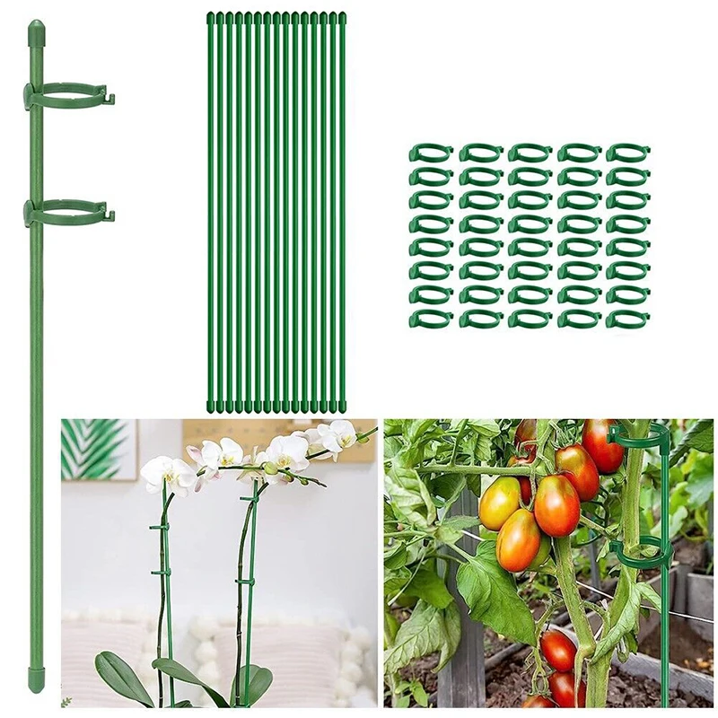 10Pcs 식물 지원 스틱 꽃 홀더 클립 등반 식물 지원을위한 난초 막대 식물 스틱 토마토 원예 용품