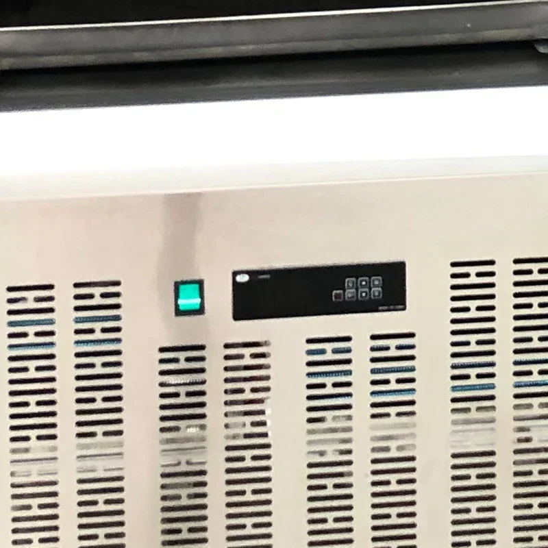 Commercial Quick Freezing Machine Sea Cucumber Seafood Fryer Fast Frozen Refrigerator Low Temperature Rapid Freezer Freezer 220v