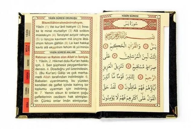 Рисунок 2 - Экономичная книга