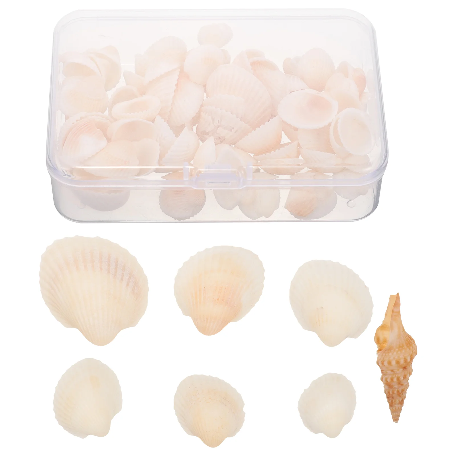 

Ornaments Shells for Decoration Small Trinkets Seashells Crafts Accessories White DIY Material