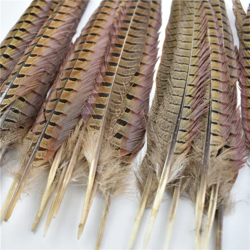 공예품용 천연 링넥 꿩 깃털, 긴 대형 장식 깃털, 꼬리 카니발 액세서리, 10-75cm