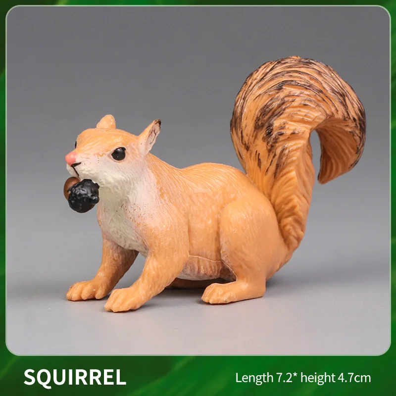 Animal-4