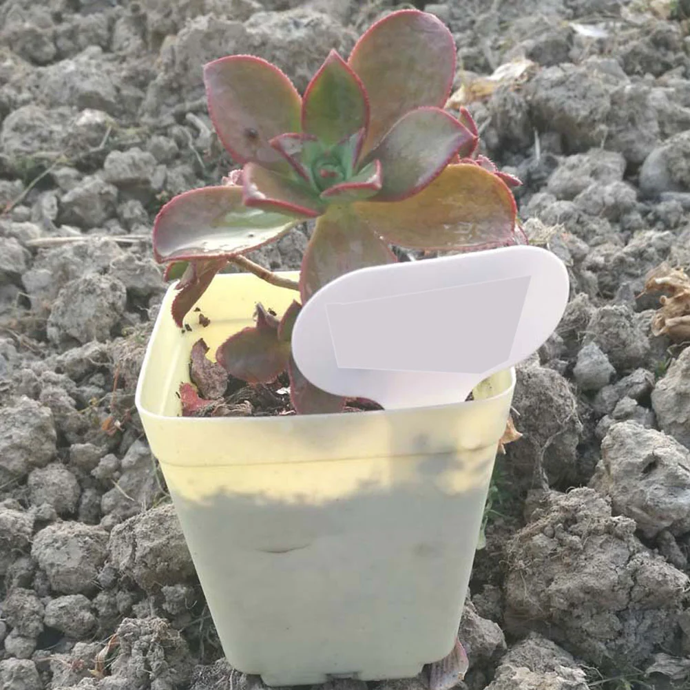 ceramic pots near me 100pcs Plant Labels Re-usable Waterproof Garden Tags Markers Nursery Insert Tag for Home Farm hanging plant holders Flower Pots & Planters
