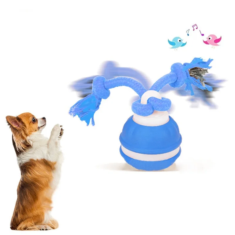 Interactive Rolling Cat Ball Electronic Interactive Pet Toy USB Rechargeable Moving Ball Automatic Moving Toy With Bird Sounds