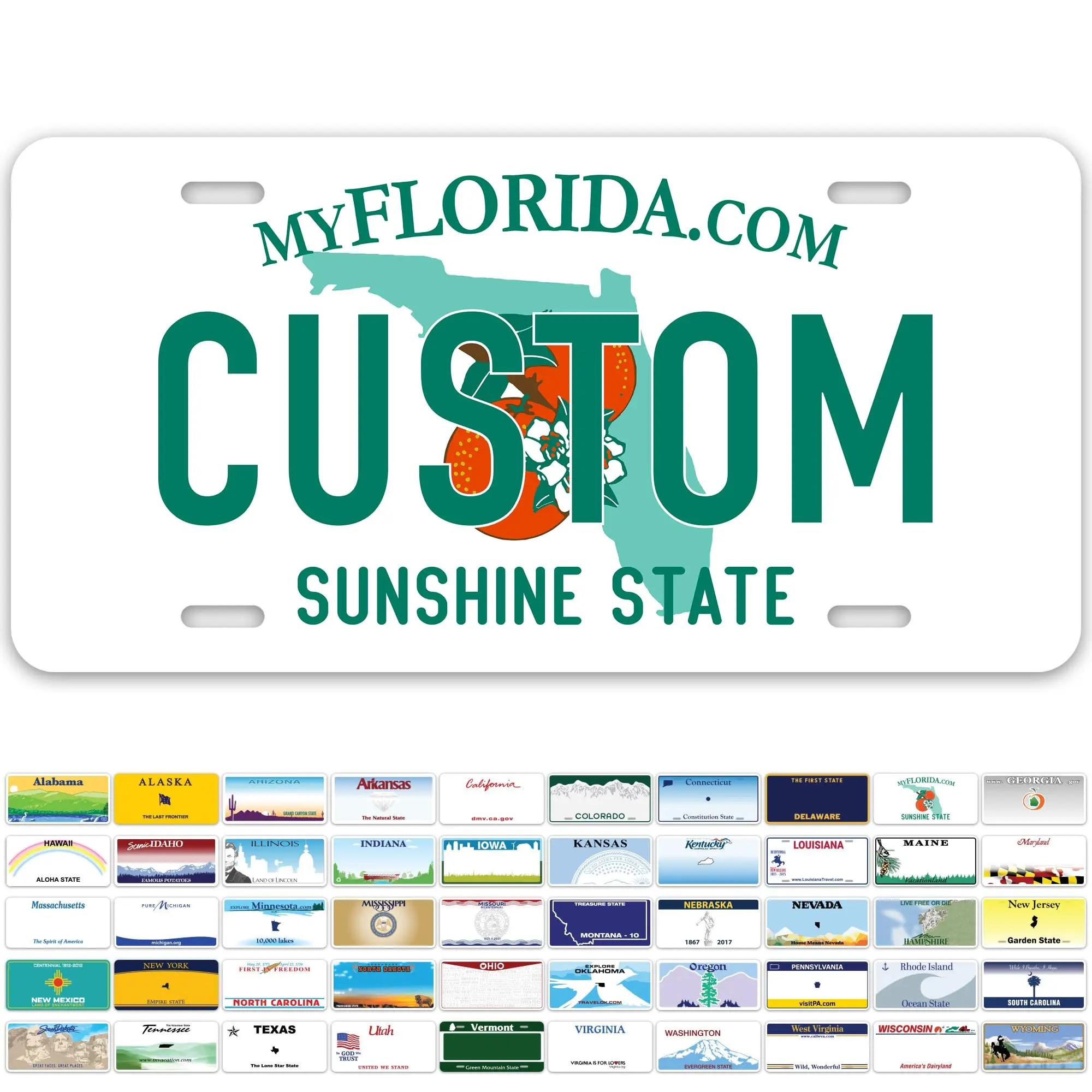 CustomFloridaLicensePlatePersonalizedLicensePlatesforCar6x12