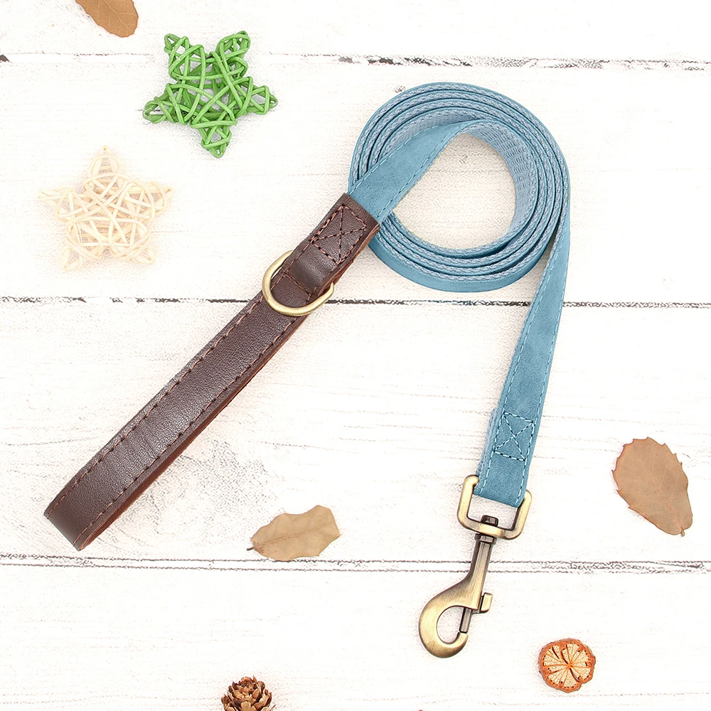 BBlue Leash