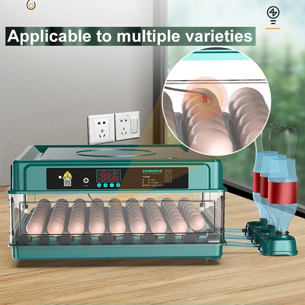 9-15 eggs incubator Chicken Goose Bird Quail Automatic Incubation Equipment Hatchery Incubation Tools EU Plug egg incubator