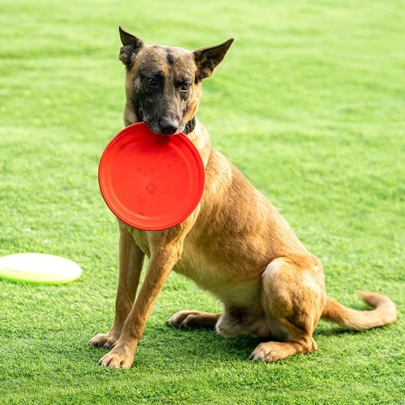 Soft TPU Flying Disk for Kids Pet Dog Interactive Game Training Toy Anti-Chew Outdoor Courtyard Flying Saucer