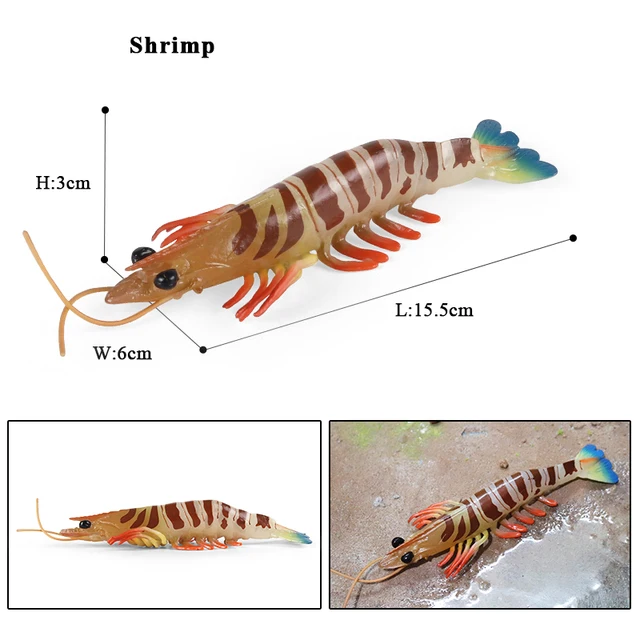 Oenux Sea Life Animals Crab Nautilus Shark Shrimp Fish Turtle Dolphin Model  Action Figures PVC Miniature Education Kid Toy Gift - AliExpress