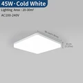 45W Cold White