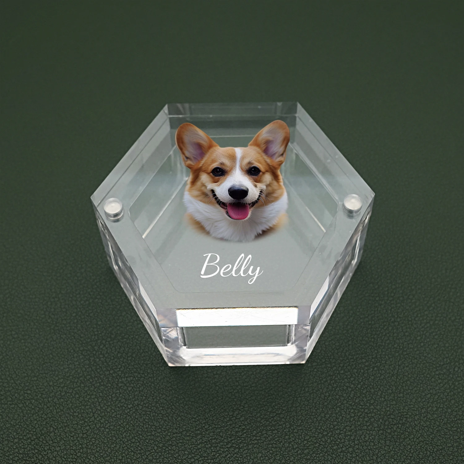 Personalized Pet Memorial Box Pet Fur Box with Photo Keepsake for Dogs and Cats Memorial Gift for Lover