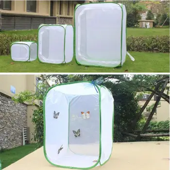 Gabbia per insetti pieghevole Maglia Habitat Uccello Farfalla Mantis Stick Griglia Allevamento Rete da cricket Panno Fattoria Bozzolo Gabbia per baco da seta
