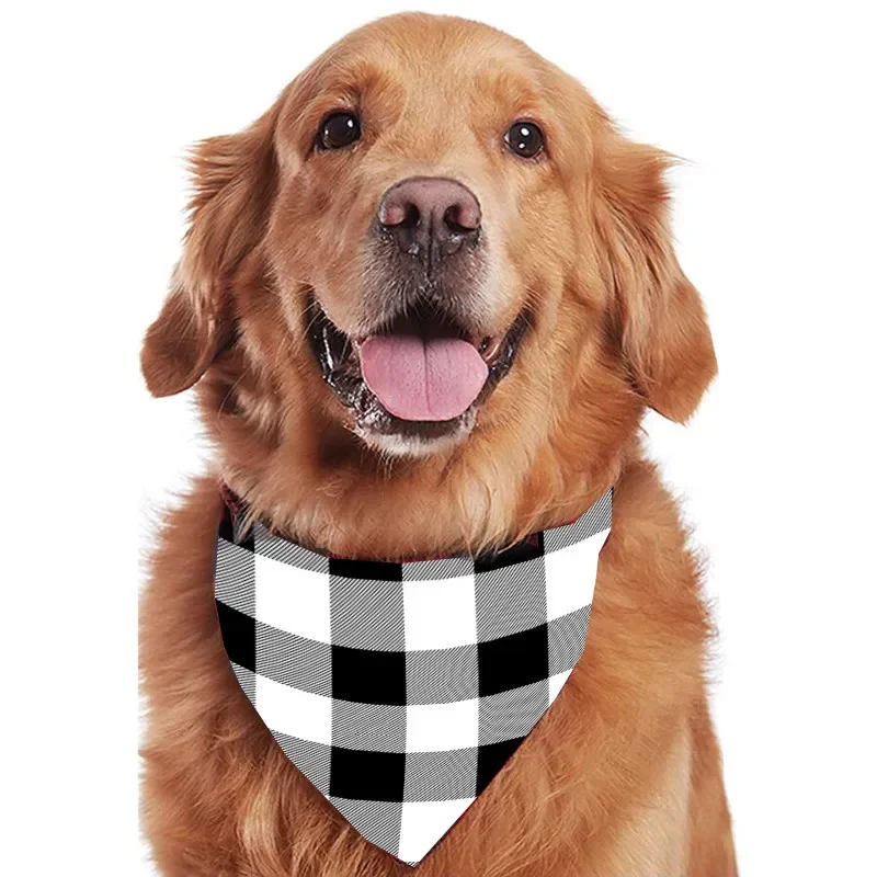 Рисунок 5 - 2023 сочетающиеся Рождество Семейные