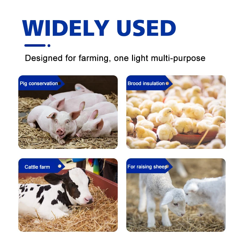 Livestock Insulation Lamp Piglet Heating Lamp Energy-saving Waterproof Adjustable Temperature Brooding Heating Insulation heating lamp bulb,poultry heating bulb