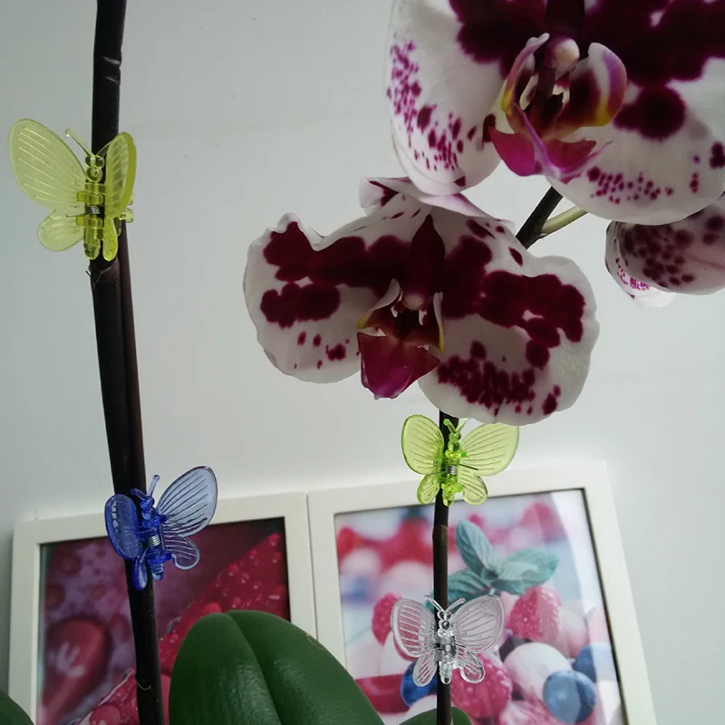 Plastic Plant Clips Butterfly Clamps Orchid 10-30PCS Garden Plants Vine Climbing Fixed Support Ornamental Bonsai Decoration