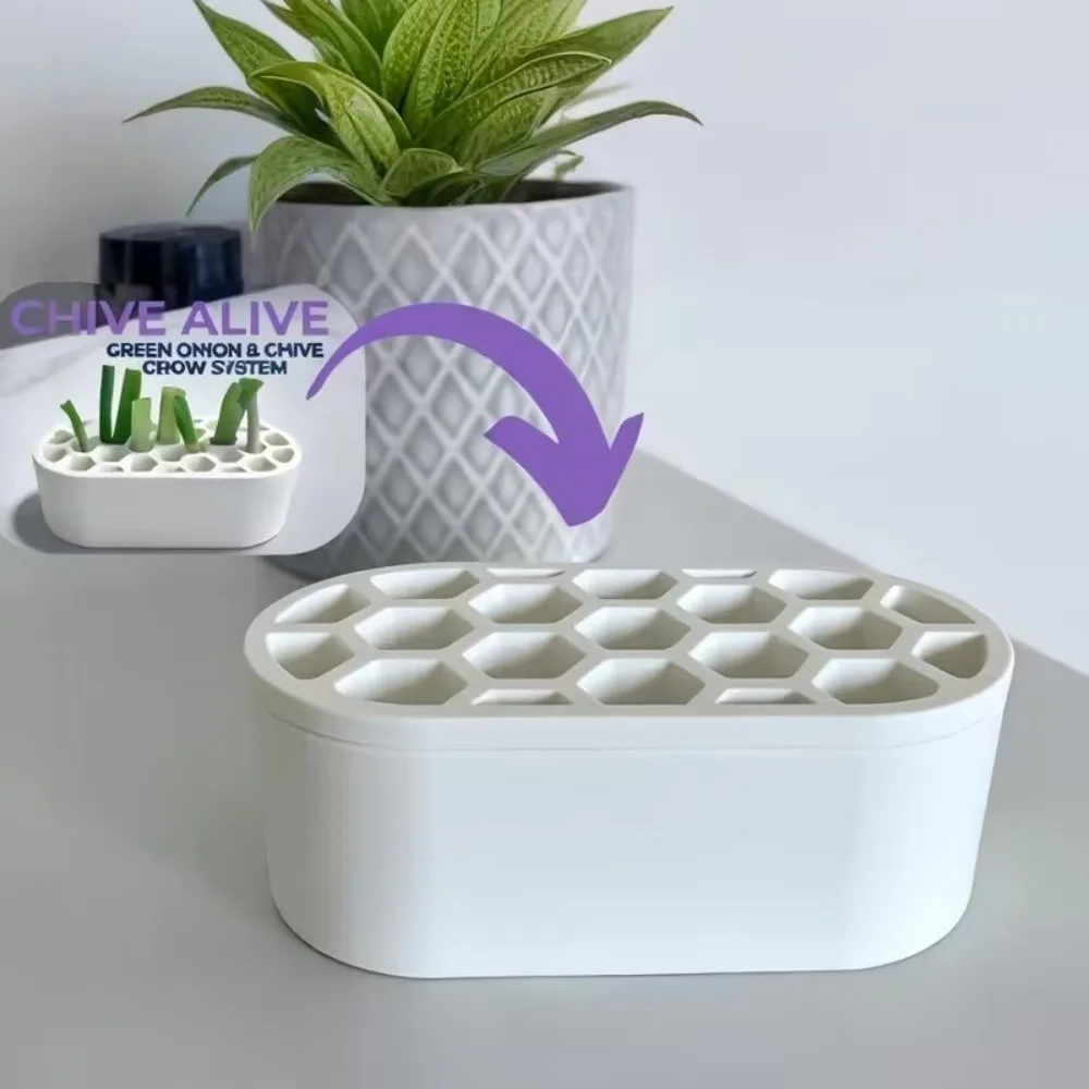 Hydroponic Breathable Planting Basket with Water Reservoir