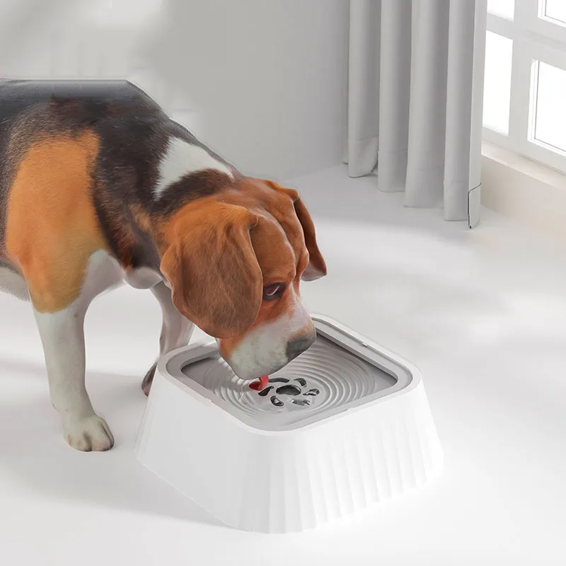 Anti-Spill & Moisture-Resistant Pet Water Dispenser with Non-Slip Base