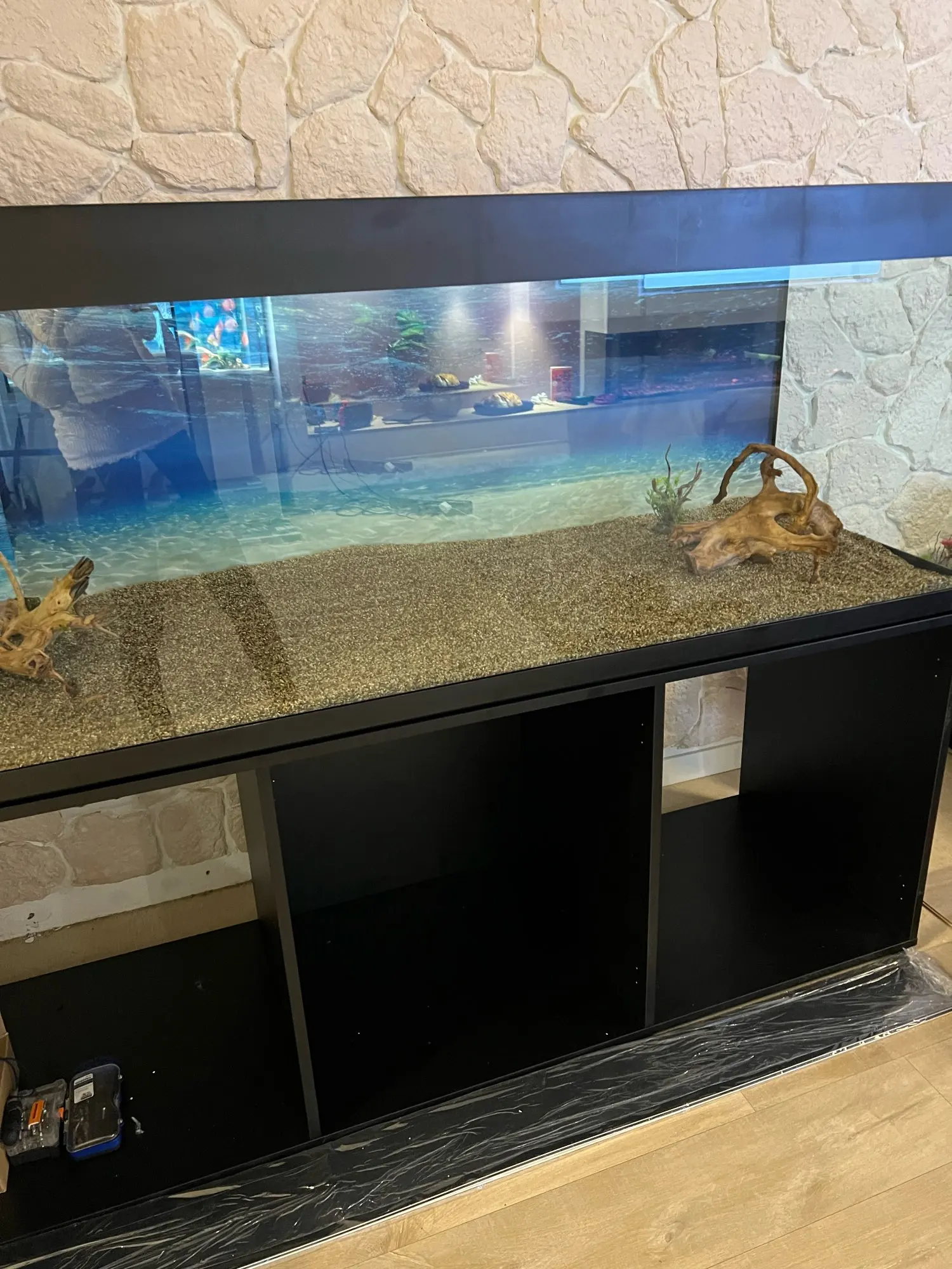 수중 세계 해저 배경 바다 해저 물고기 산호 수족관 물고기 탱크  초상화 사진 배경 사진 스튜디오