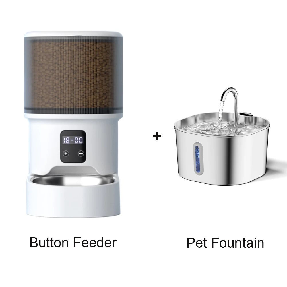 Button and Fountain