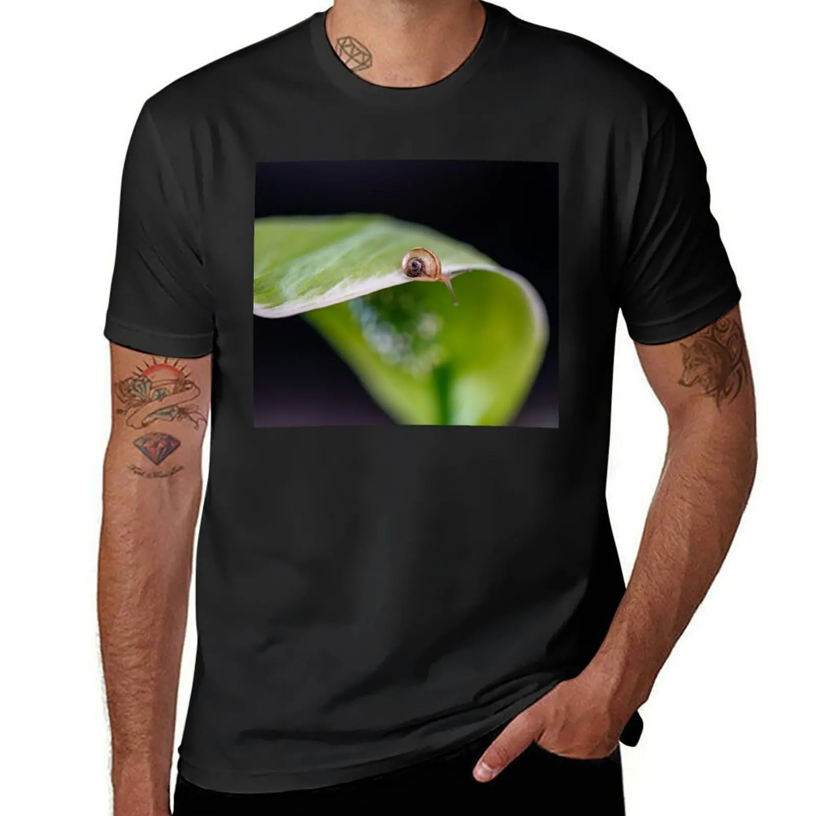 Мужская футболка с принтом улитки, Ползания по пятке, большие размеры