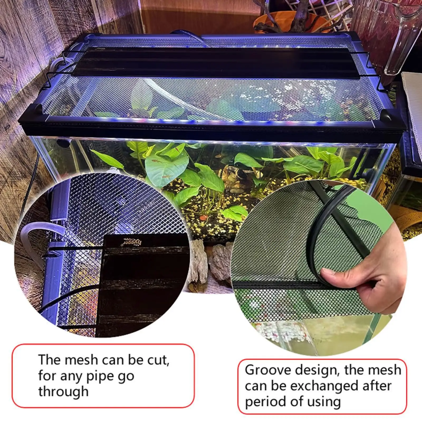 수족관 덮개는 물고기가 수족관에서 뛰어나는 것을 방지합니다.