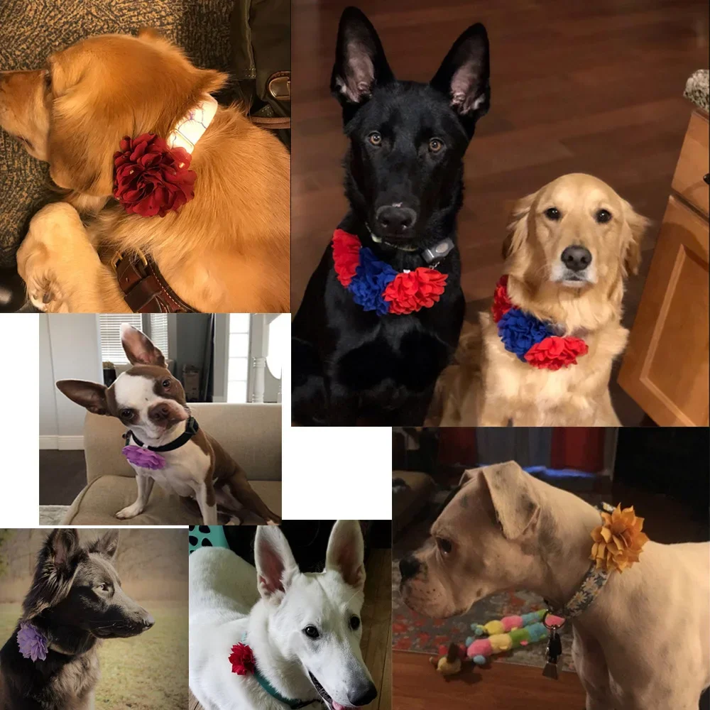 Bulk Flower-Collar Dog Accessories Dog Bow Tie Pet Dog Collar Accessories  Flower For Dog Collar Dog Flower Collar Accessory 5
