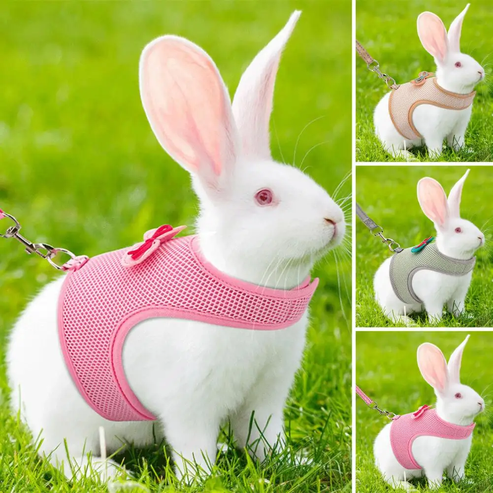 

Soft Breathable Pet Leash Adjustable Pet Leash Harness Set with Bow Decoration for Small Rabbit Cat Ferrets Outdoor for Small