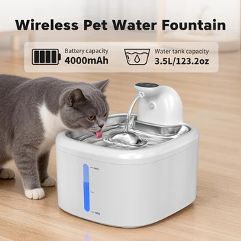 Cat Water Fountain 1