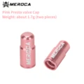 FV Pink