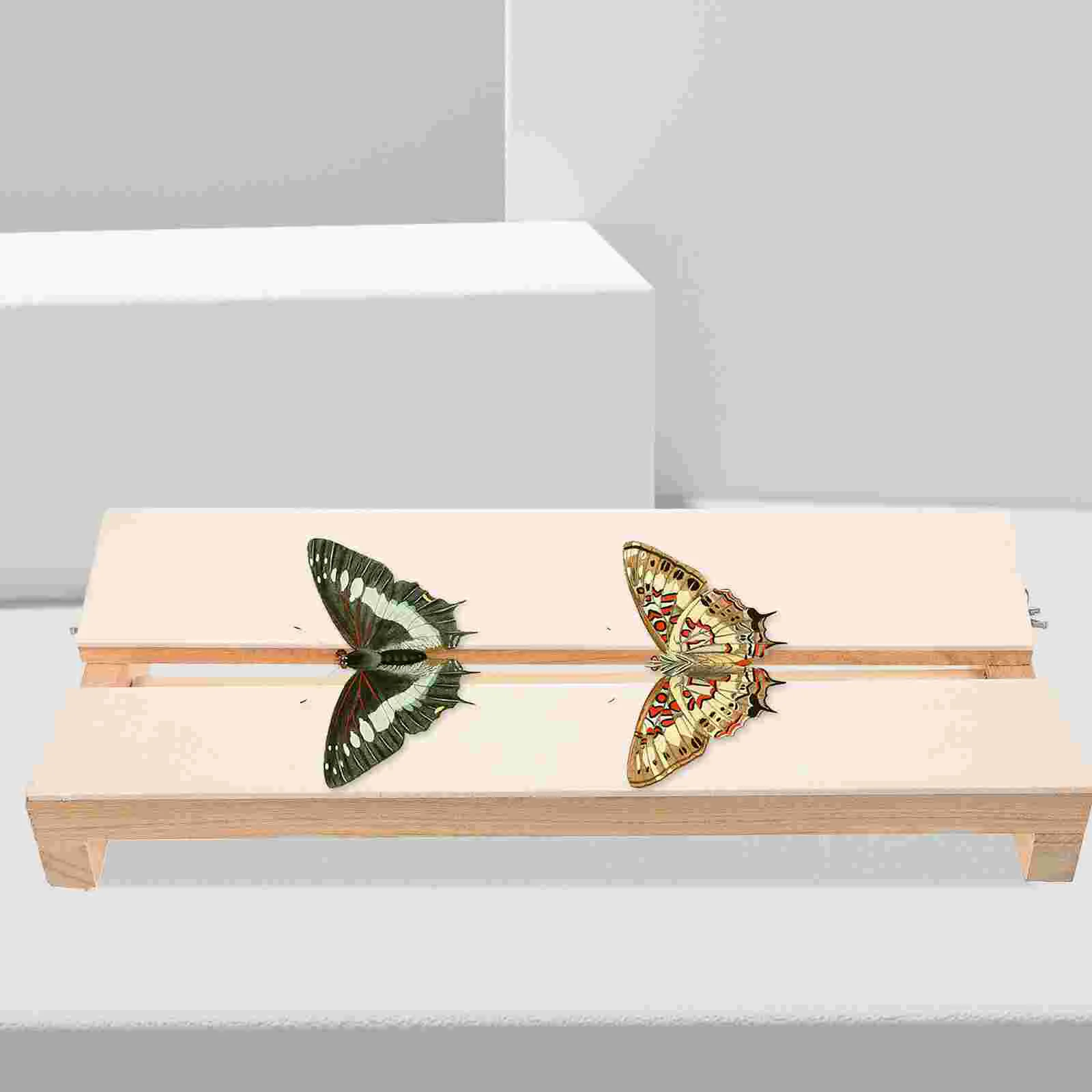 

Display Specimen Display Spreading Board Experiment Tool Spreading Wing Spreading Board Specimen Display Board Experiment Tool
