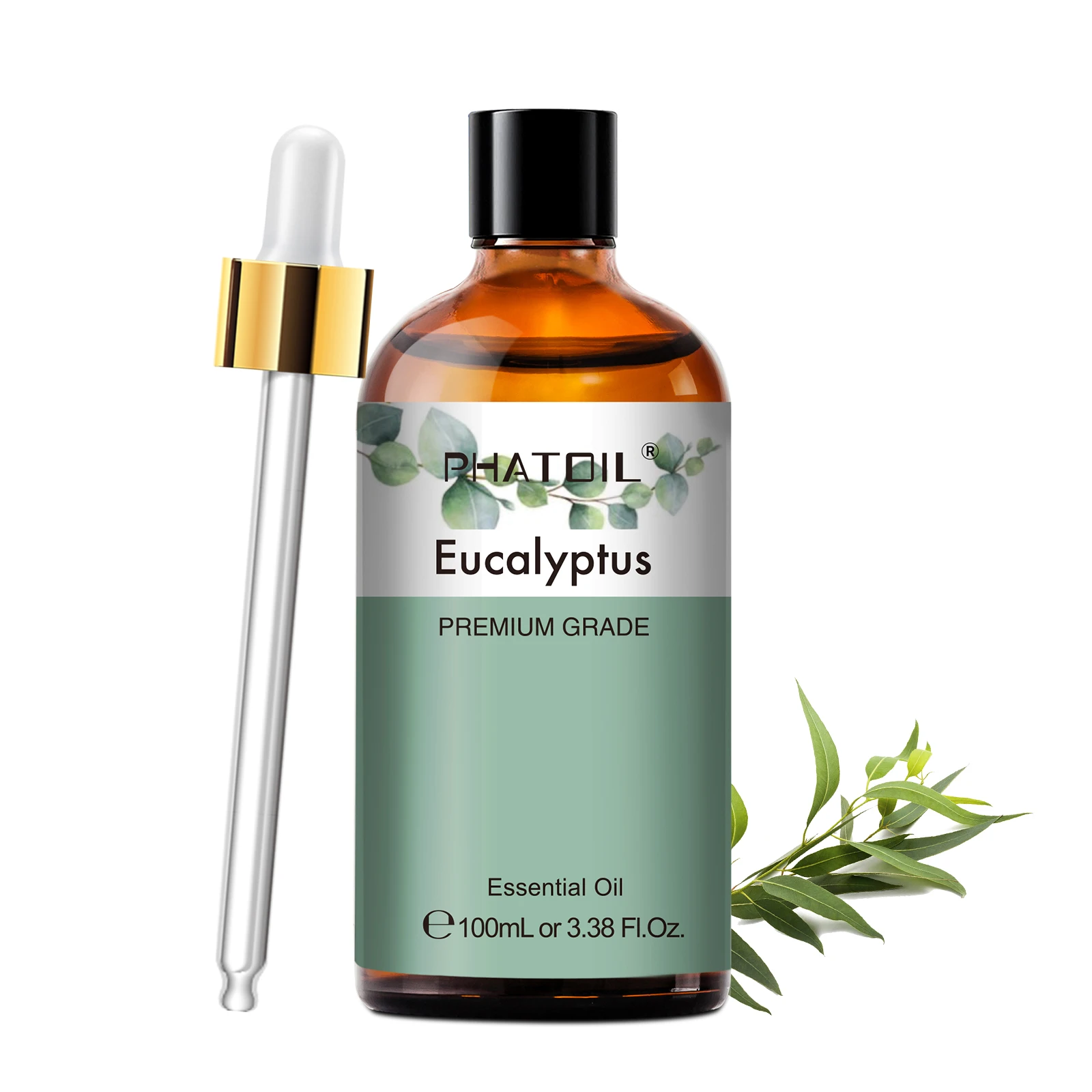 Eucalyptus