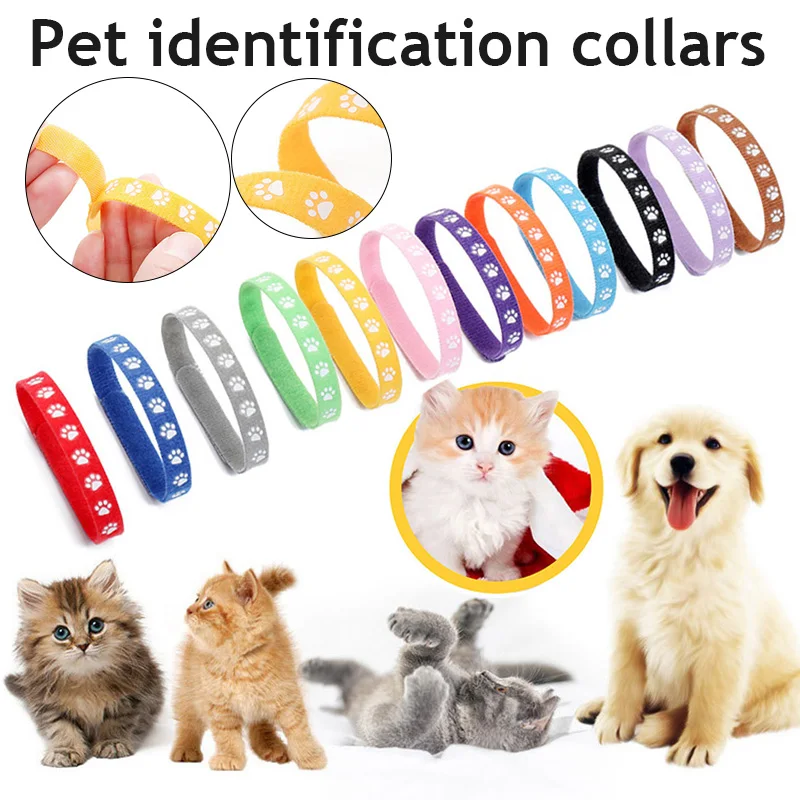 12pcs Dogs Collars Colorful Classic Simple Puppy Kitten Identification Collar Kitten Whelping ID Collar Bands Pet Supplies