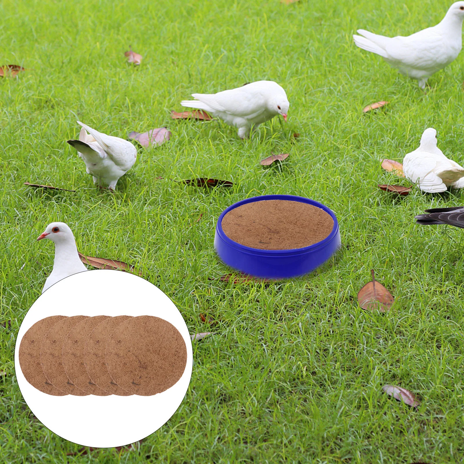 

Tehaux Pigeon Nesting Pads Natural Fiber Parrots Breeding Nests Bird Eggs Mat Provides Warm Hut Material Bedding Birds
