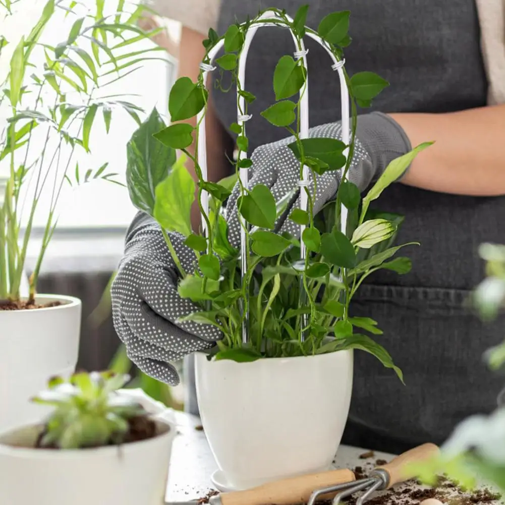 2 Pcs U-Shaped Acrylic Plant Trellis Clear Plant Support Twist Ties Climbing Plants Trellis Houseplants Ivy Monstera